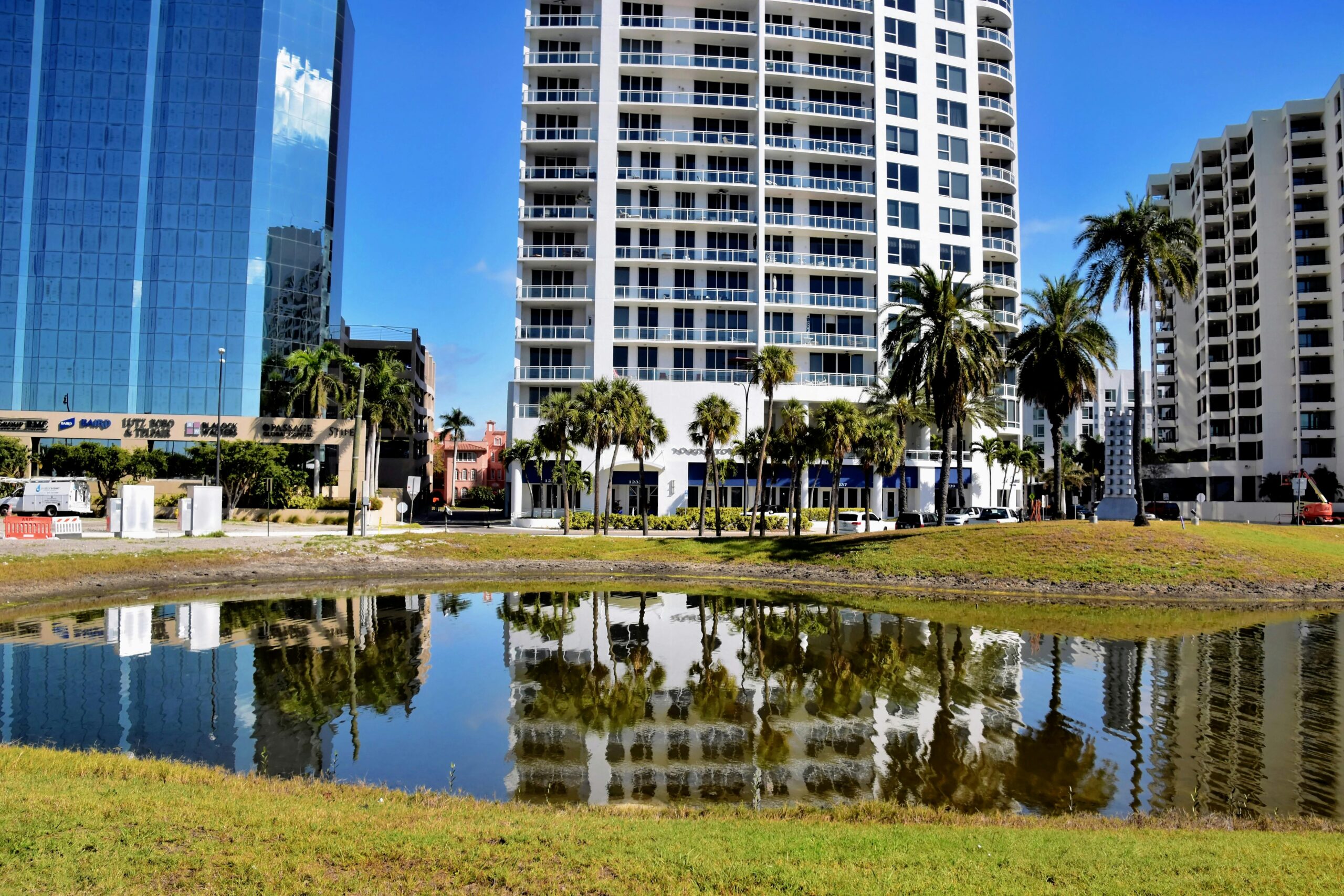 Palm trees and buildings in Sarasota Florida